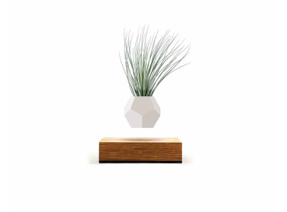 Pot en lévitation - Chêne - 15x15 cm - FLYTE LIFE