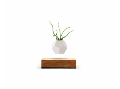 Pot en lévitation - Chêne - 15x15 cm - FLYTE LIFE
