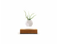 Pot en lévitation - Chêne - 15x15 cm - FLYTE LIFE